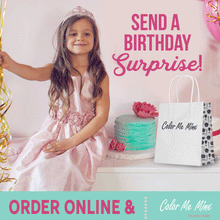 Load image into Gallery viewer, Birthday Party Package
